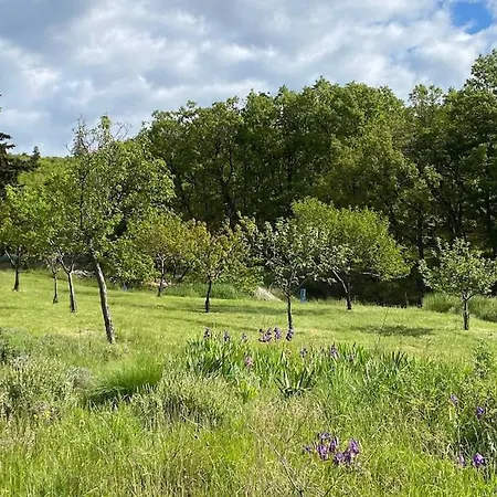 Site Exceptionnel Haute-provence 度假居 *